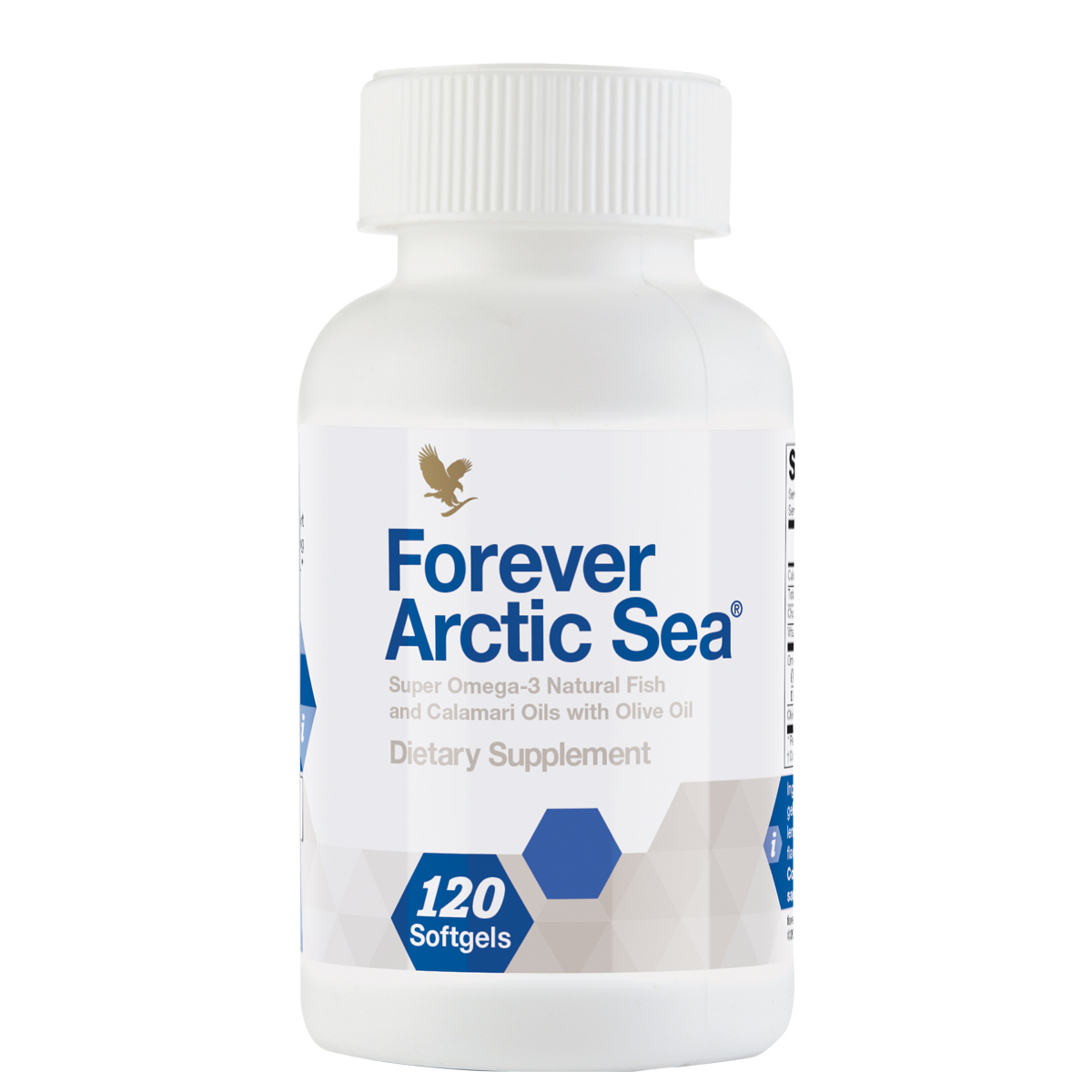 Forever Arctic Sea 