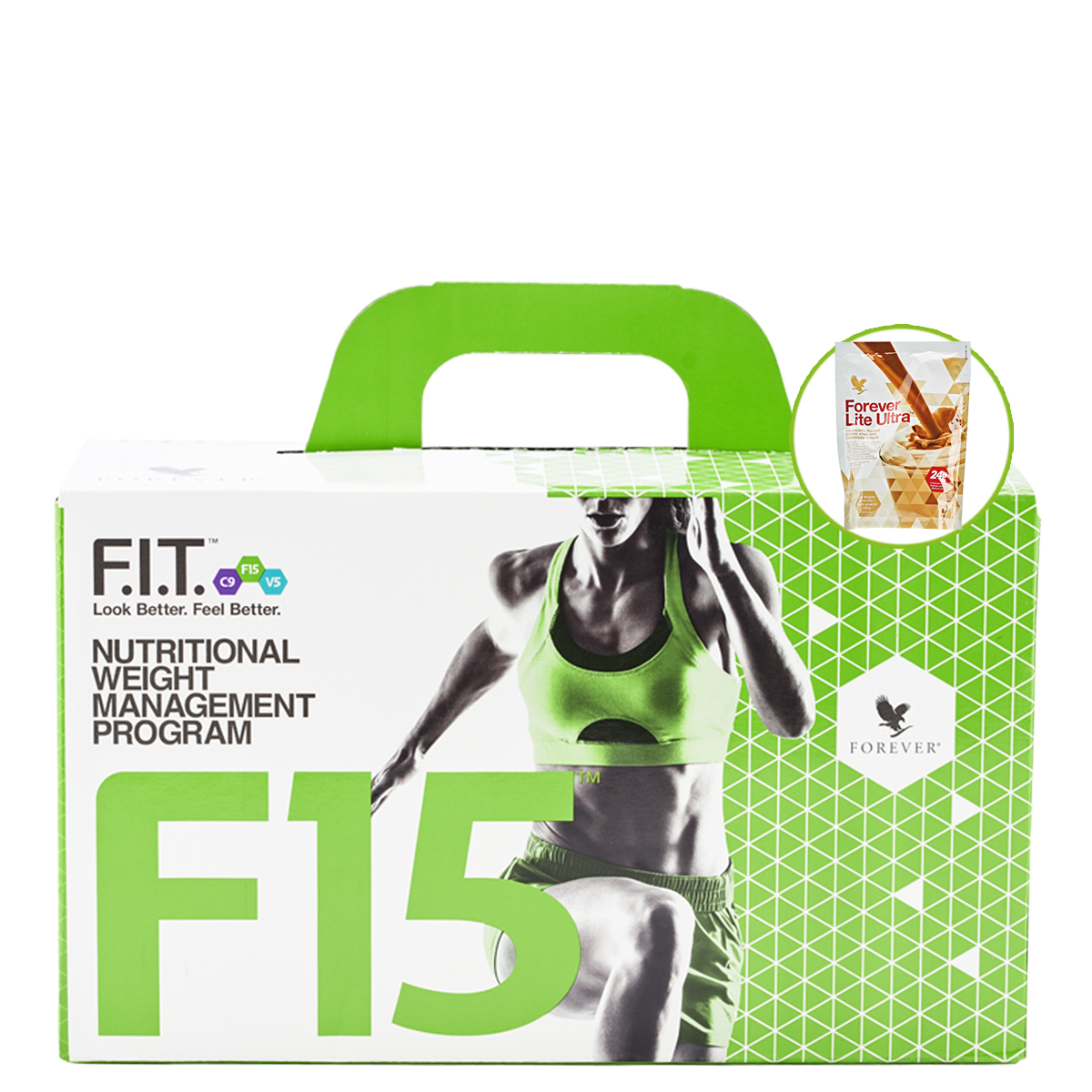 F15 Beginner 1-2 Chocolate 