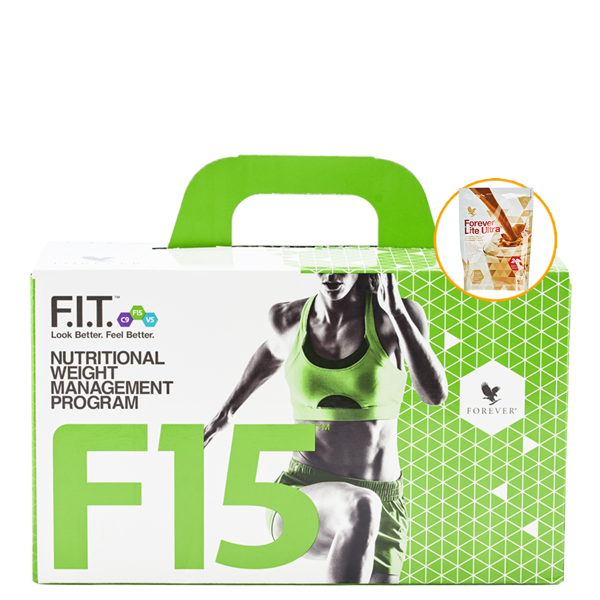 F15 Intermediate 1-2 Chocolate